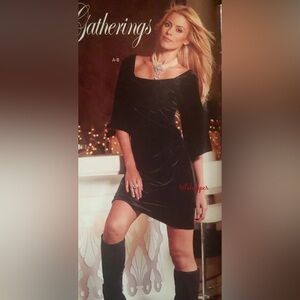 Boston Proper Black Velvet Dress